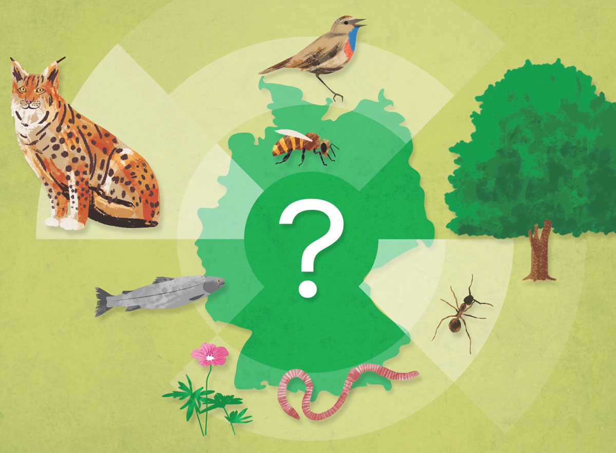 NMZB Imagefilm / edeos digital education