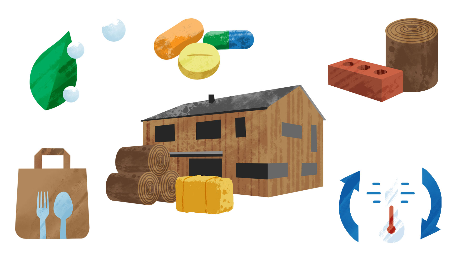 NMZB_Illus02 NMZB_Illus02